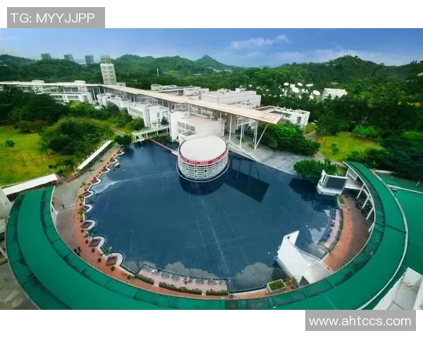 深圳羽毛球队反击之路的成败得失解析与未来展望